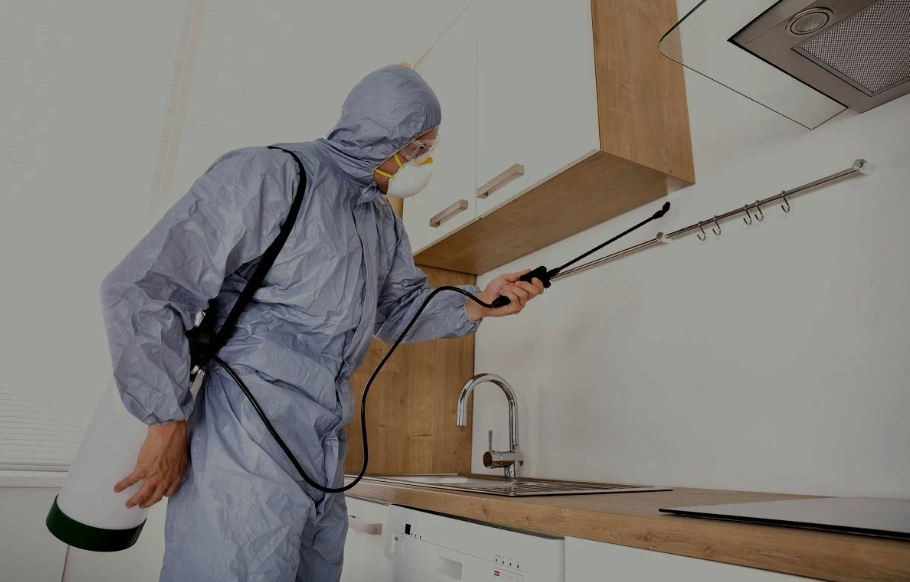 Porterville pest managment